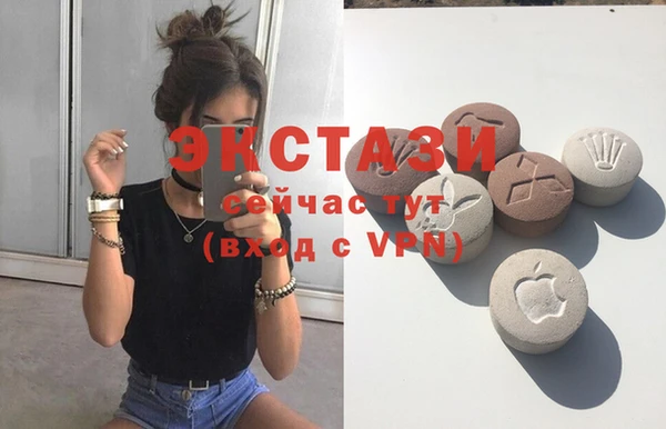 крисы Коряжма