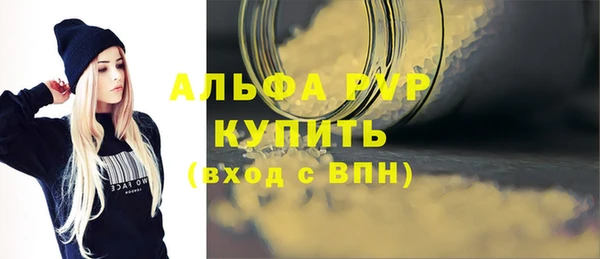 крисы Коряжма