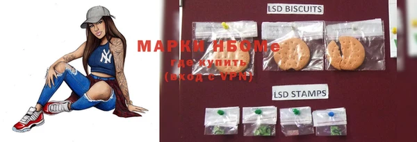 крисы Коряжма